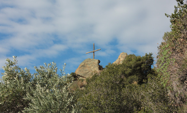 IMG_7976crop
