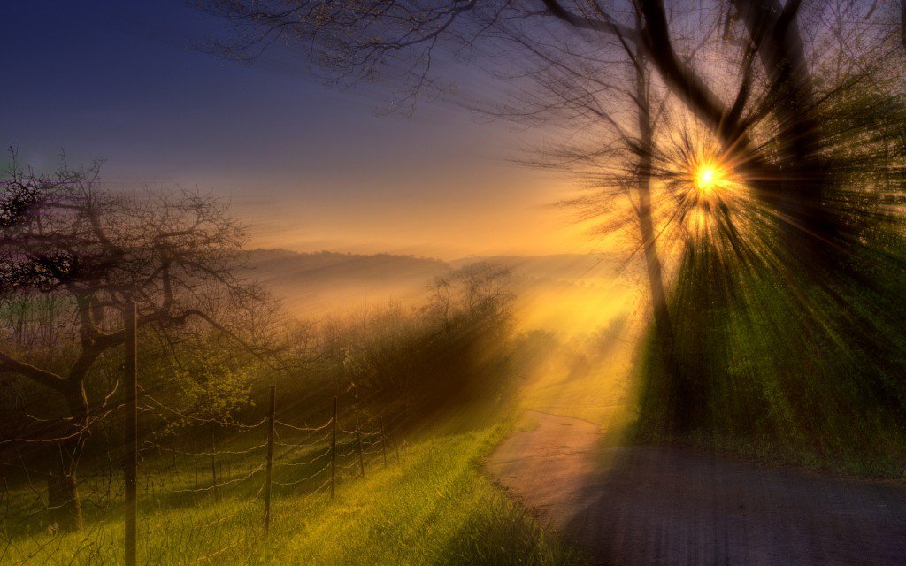 sun